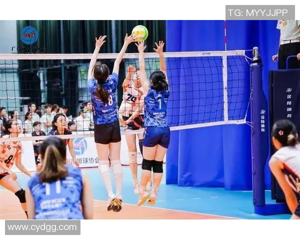 广州排球队的速度提升与战术创新探讨 广州排球队的速度提升与战术创新探讨