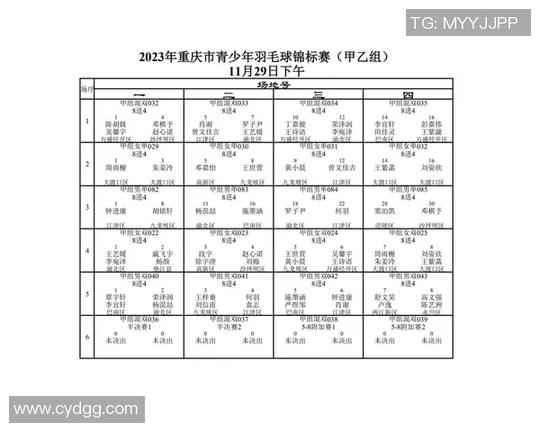 重庆羽毛球队在世界锦标赛中的心理素质分析与表现评估