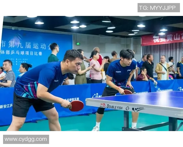 乒乓球团队协作实力榜单揭晓深圳乒乓球队荣获第五名佳绩