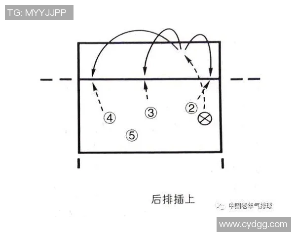 杭州排球队进攻策略揭秘：深度解析排球战术与团队配合