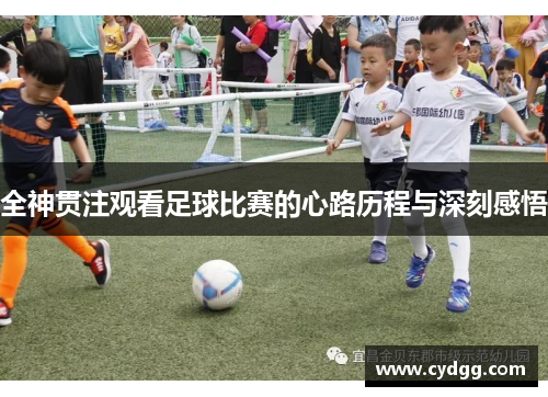 全神贯注观看足球比赛的心路历程与深刻感悟