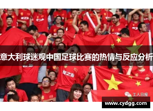 意大利球迷观中国足球比赛的热情与反应分析