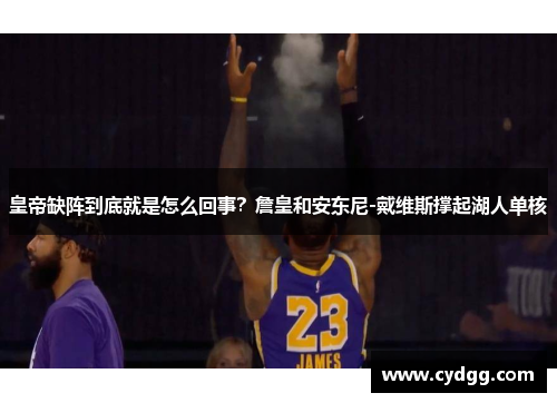 皇帝缺阵到底就是怎么回事？詹皇和安东尼-戴维斯撑起湖人单核