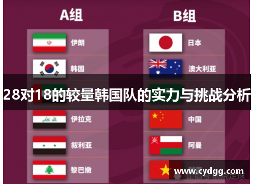 28对18的较量韩国队的实力与挑战分析